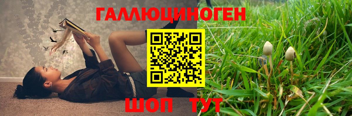 купить наркотики цена  Псилоцибиновые грибы прущие грибы  Вход с VPN  Норильск 